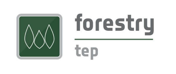 Terramonitor joins Forest Carbon Monitoring project with F-TEP